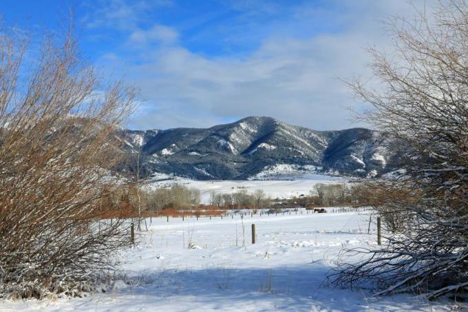 pemandangan musim dingin pegunungan bridger dilihat dari bozeman montana foto oleh don dan melinda crawforducgununiversal images group via getty images