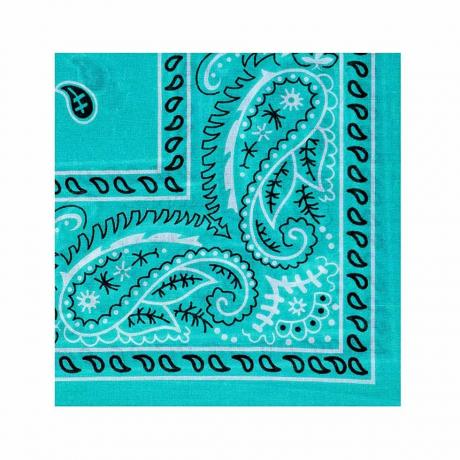 Teal Bandana