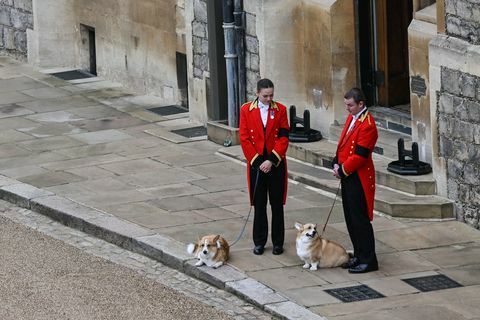 corgi pemakaman ratu elizabeth