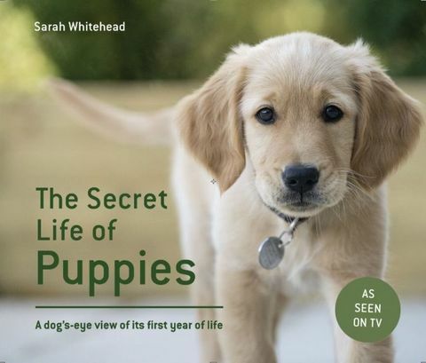 buku rahasia kehidupan anak anjing