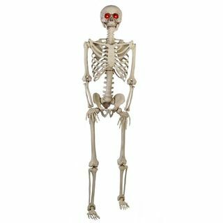 5 kaki LED Pose-N-Stay Skeleton