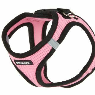 Harness Dog Mesh