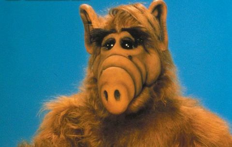 alf reboot