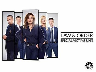 Hukum & Ketertiban: SVU Musim 20