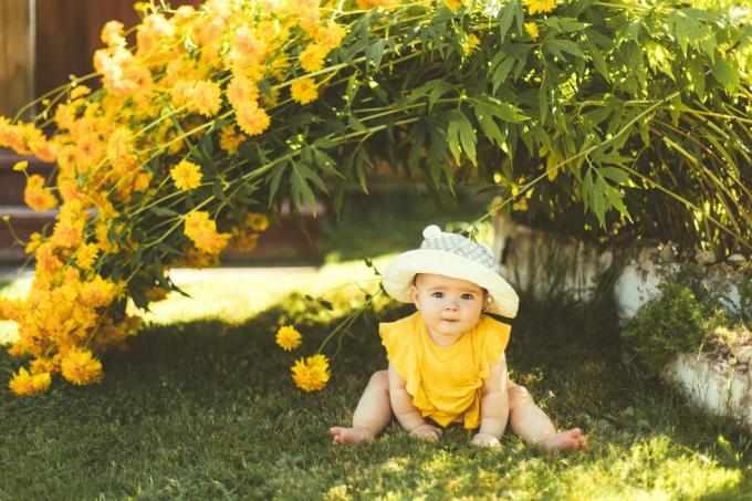 seorang bayi perempuan bertopi matahari sedang duduk di taman di bawah semak bunga kuning besar