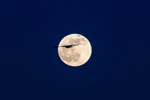 bulan biru yang langka akan menerangi langit saat halloween