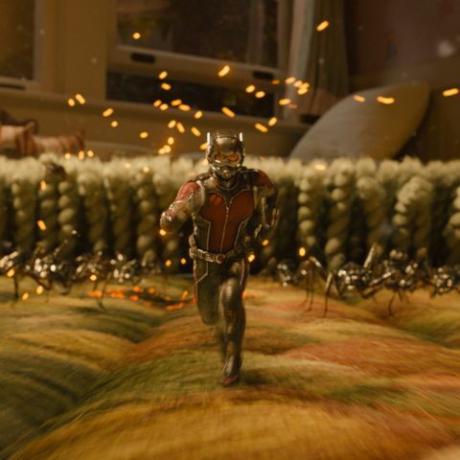 cara menonton semua film marvel secara berurutan - ant-man