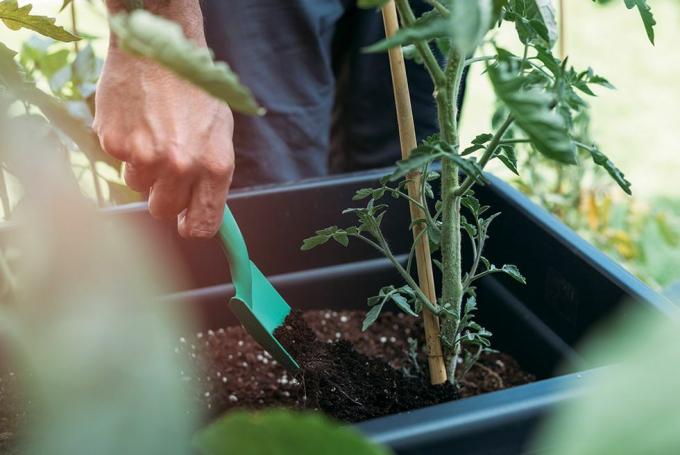 nomor pupuk dengan tukang kebun melamar ke tempat tidur penanam