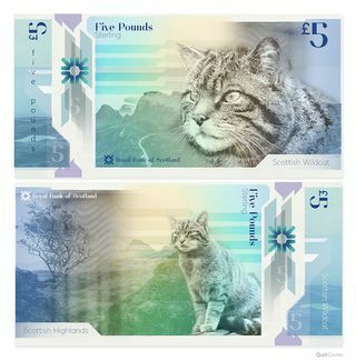 Foto catatan bank wildcat Skotlandia