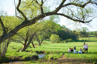 Piknik musim panas Bundoran Farm