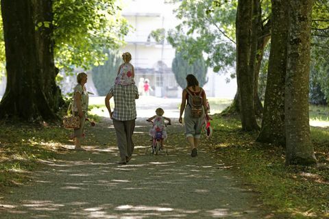 Saltram Devon © National Trust Images Chris Lacey