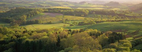 Pedesaan dorset