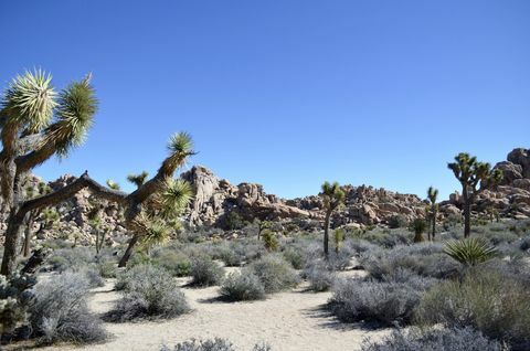 pioneertown, california