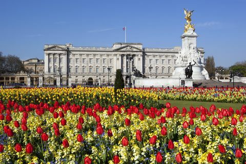 Istana Buckingham