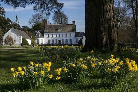 Bakung di Springhill National Trust © Bernie Brown