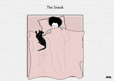 Ilustrasi kucing studi baru tentang posisi tidur hewan peliharaan