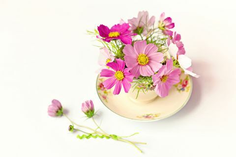 Bunga-bunga merah muda yang cantik dalam cangkir teh