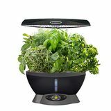 AeroGarden dan Kit Benih Ramuan