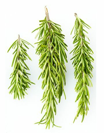 Rosemary