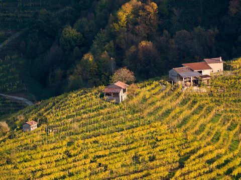 Kebun anggur di Valdobbiadene, tanah anggur Prosecco