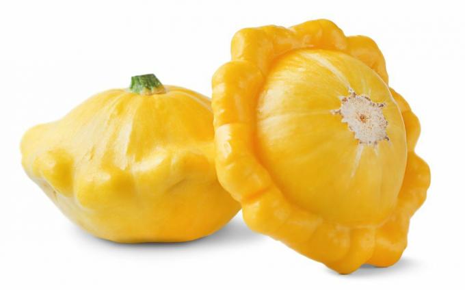 dua patty pan squash dari jenis labu