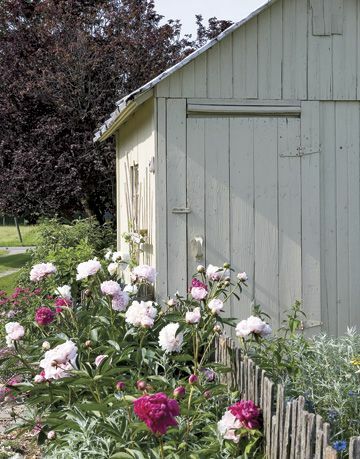 Garden Shed