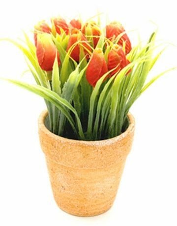 tulip pot