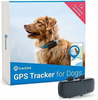 Pelacak GPS Traktif untuk Anjing