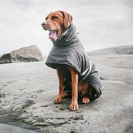 Foto Hurtta Extreme Warmer Dog Coat