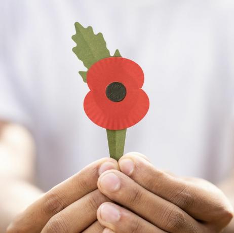royal british legion memperkenalkan poppy bebas plastik baru yang terbuat dari 100 kertas