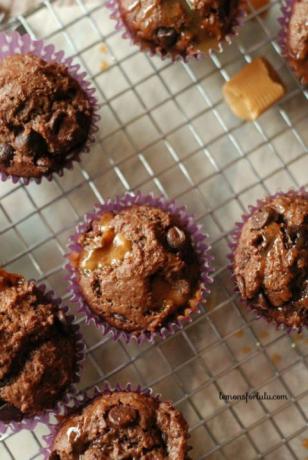 muffin cokelat karamel macciato