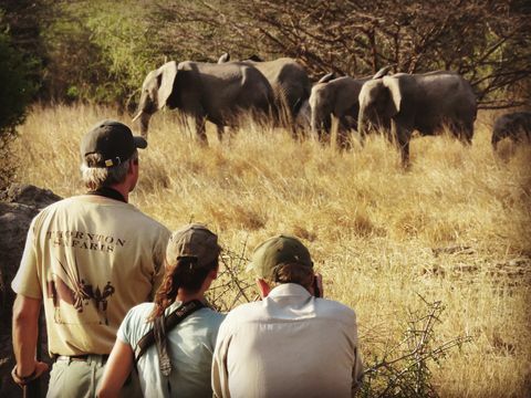 Wisatawan di Great Serengeti Traverse 