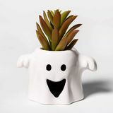 Hantu Halloween Succulent